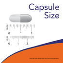 NOW Graviola 500 mg, 100 Veg Capsules