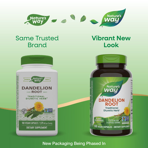 Nature's Way Dandelion Root