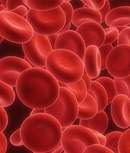 Journey 'Gentle' Iron Tiny Capsules by Bariatric Eating (CLEARANCE: Best by September 30, 2025)