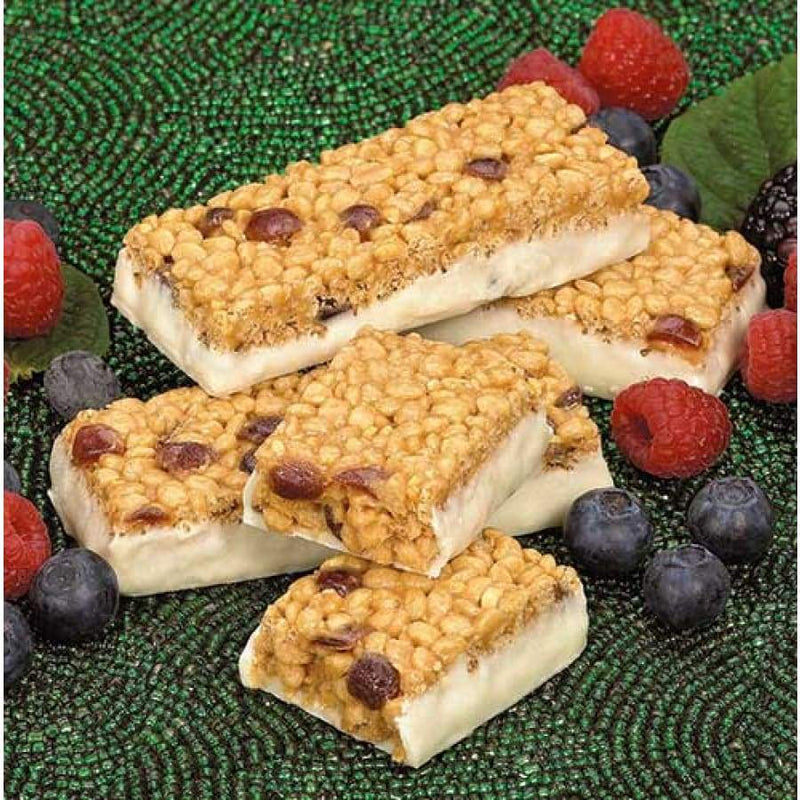 BariatricPal 15g Protein Bars - Double Berry - Protein Bars