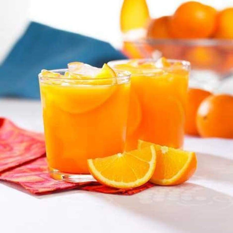 BariatricPal Fruit 15g Protein Drinks - Orangeade - Fruit Drinks